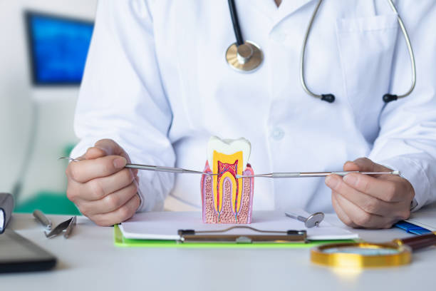 Best Emergency Orthodontic Repairs in Mountain Home, ID